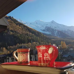  Appartement Vue Montblanc Magique En Centre-ville Avec Parking